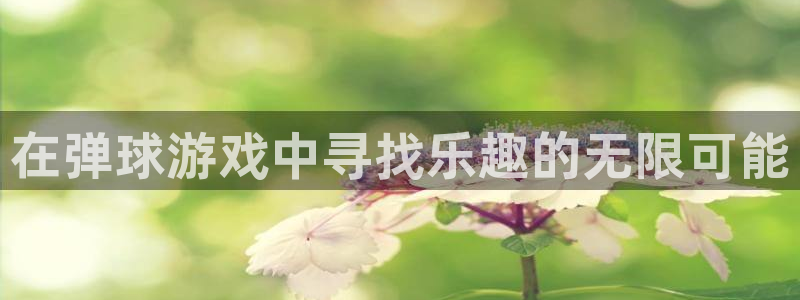 suncitygroup太阳新城(中国)集团
