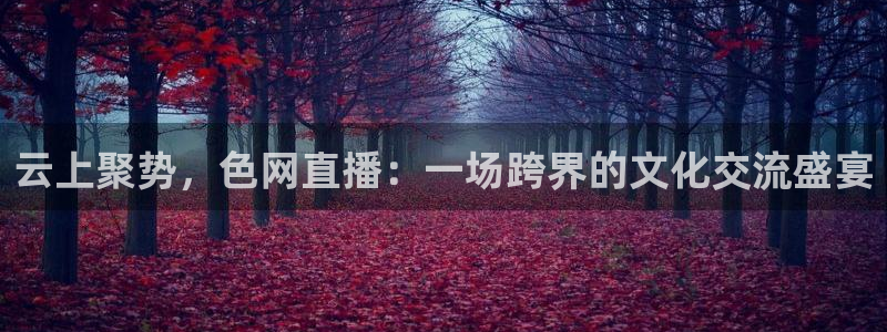 袋鼠体育直播在线观看免费：云上聚势，色网直播：一场跨界的文化交流盛宴