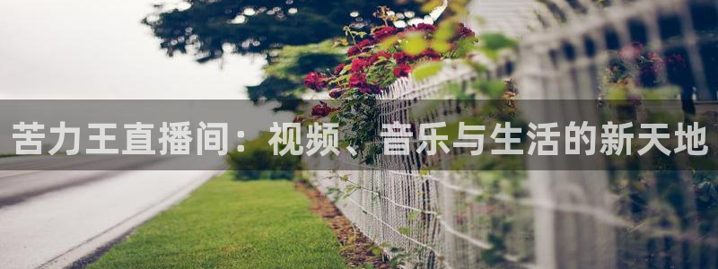 袋鼠直播nba体育：苦力王直播间：视频、音乐与生活的新天地