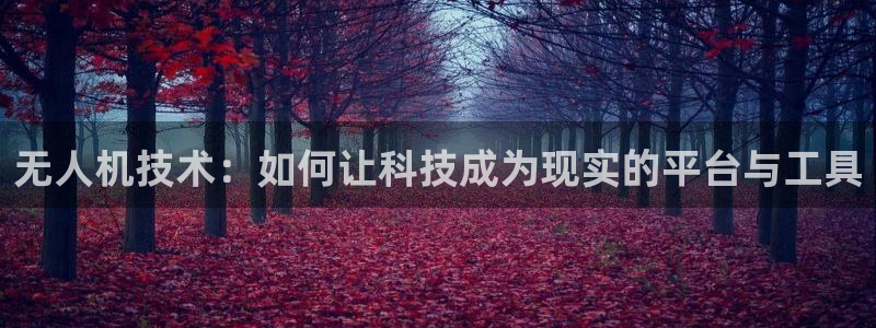 袋鼠足球免费直播：无人机技术：如何让科技成为现实的平台与工具
